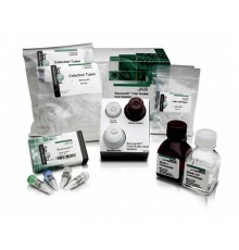 Набор RecoverAll Total Nucleic Acid Isolation Kit for FFPE, Thermo FS